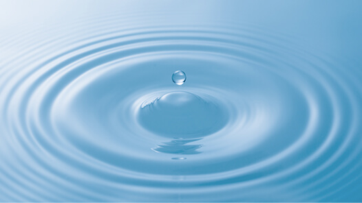 Mantra, the sacred sound wave, purifies what exists inside of us.